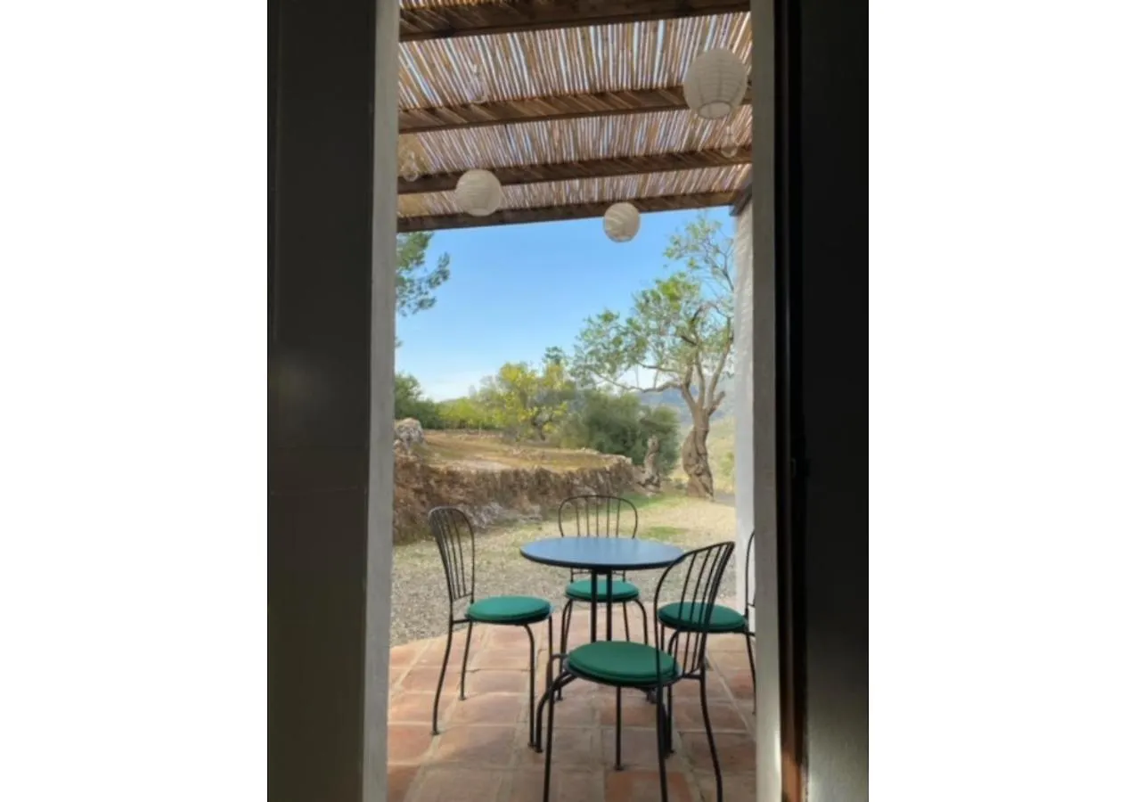 Sunny Hillside Casita In Guaro Apartment